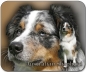 Preview: Mousepad Australian Shepherd